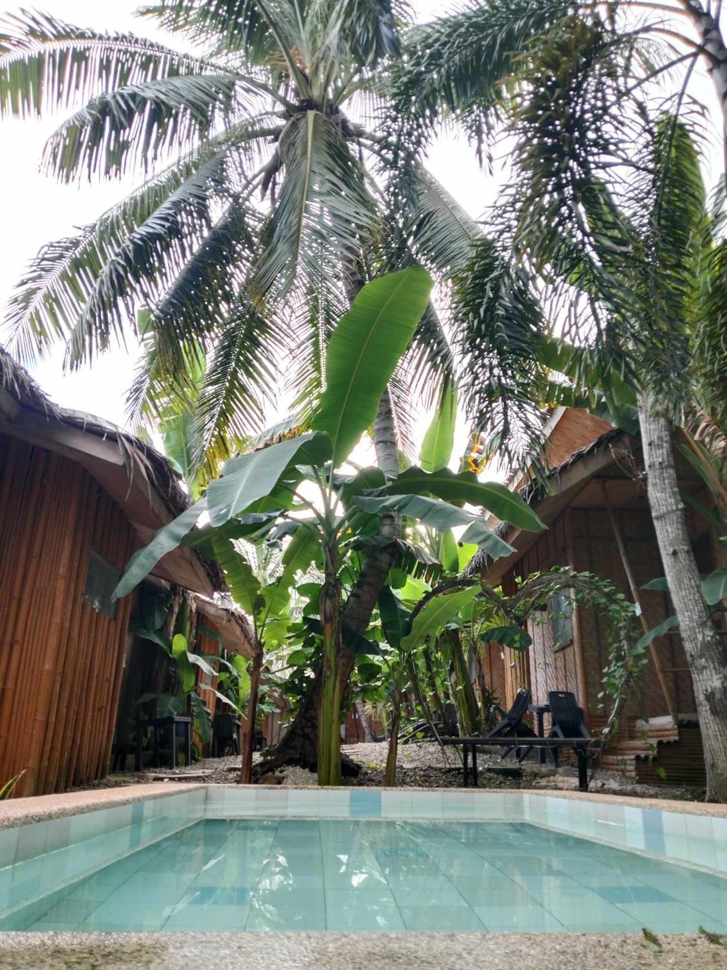 Ecostay Panglao Resort Hotel Ngoại thất bức ảnh
