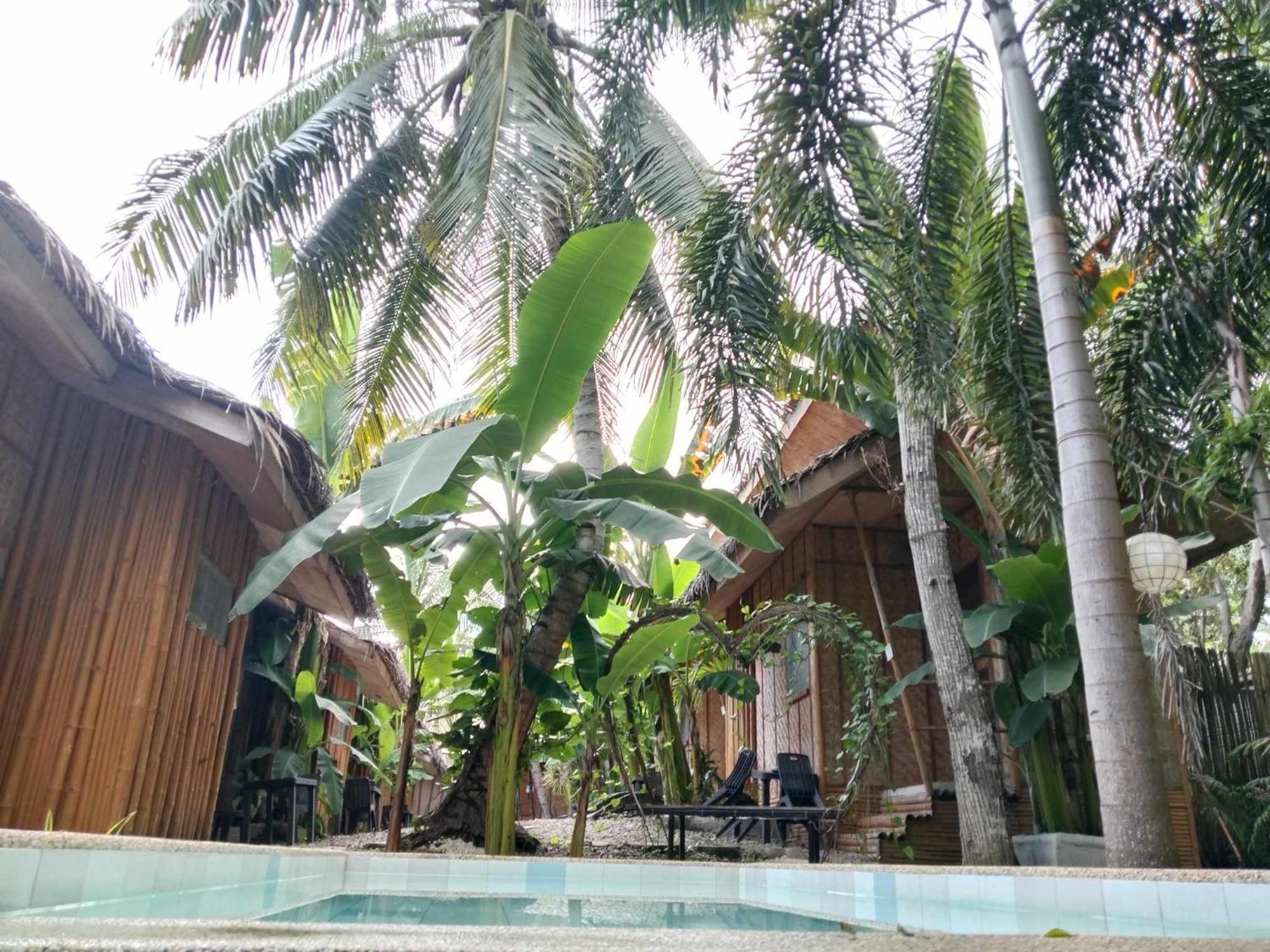 Ecostay Panglao Resort Hotel Ngoại thất bức ảnh